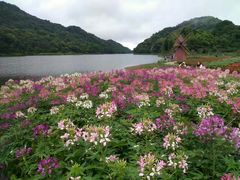-广州市石门国家森林公园
