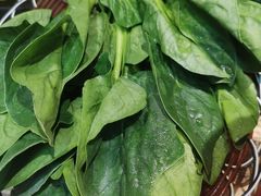 -销魂美蛙鱼头火锅(上海首店)