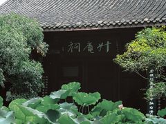 -桂湖森林公园