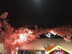 -三月居酒屋(青年大街店)