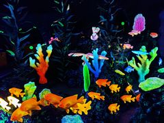 -珠海长隆海洋王国