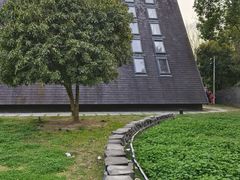 -美丽洲堂