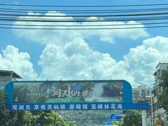 -银峰农庄·特色烧鸡·鲜无花果浸鸡