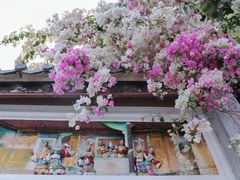 -深圳国际园林花卉博览园