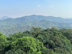 -水濂山森林公园