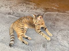 -龙华寺