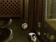 -太阳岛度假酒店