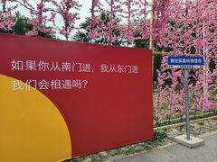 -北京凤凰岭