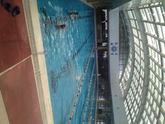 远航游泳-远航游泳竞技馆(卫星广场店)