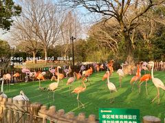 -上海野生动物园