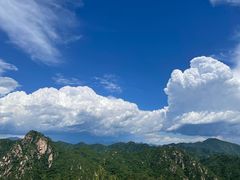 -大岭沟猕猴桃谷风景区