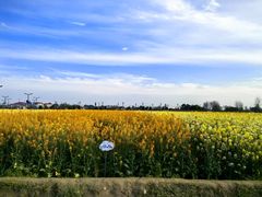 -中国天府农业博览园