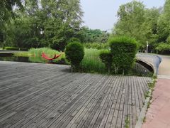 -长白岛森林公园