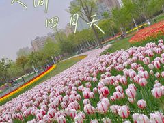 -大宁公园