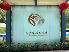 -鹿鸣酒家(越秀店)