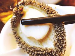 鲍鱼-金海阁海鲜火锅