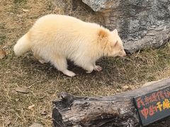 -祥源·阜阳生态乐园