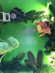 点击看大图 -恐龙探索乐园(磁器口店)