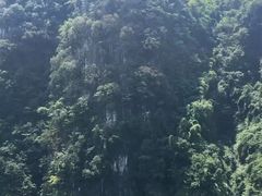 -阿依河景区