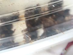 -王浩儿纪六孃甜皮鸭(东大街店)