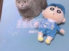 -瑞派宠物医院·24小时骨科·心脏·核磁(哈尔滨南岗店)