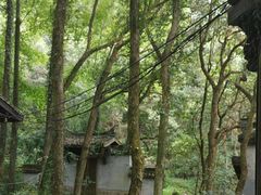 -富春桃源风景区
