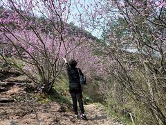 -天台山赤城山景区