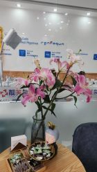 -靓芙泉专研痘痘肌