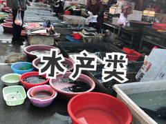 -白沙农贸综合市场