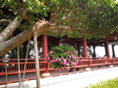 -乌山风景区