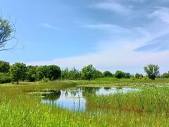 -野鸭湖国家湿地公园