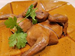话梅乳鸽-沙龙酒家