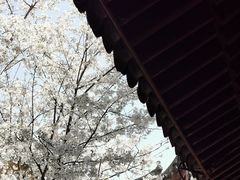 -龙华寺