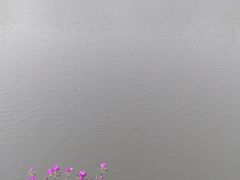 -白沙门生态公园