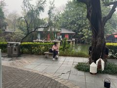 -侨美·唐荔园·40年地道粤菜