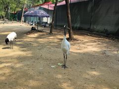 -秦皇岛野生动物园