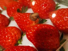 -江杨农产品批发市场