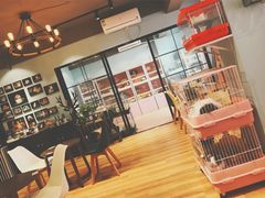 -藦茜花园宠物主题亲子互动体验馆(国顺东路店)