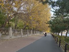 -辽宁大学(崇山校区)