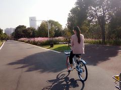 -艾溪湖湿地公园