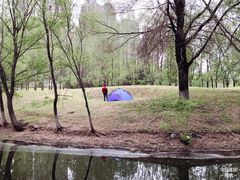 -长白岛森林公园