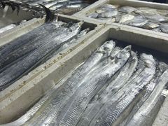 -中国舟山国际水产城