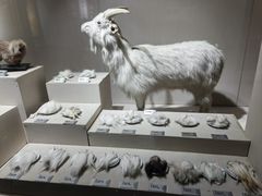 -中国湖笔博物馆(莲花庄路)