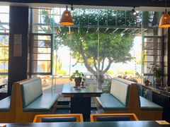 -野菌皇海景野生菌火锅(滨海大道店)