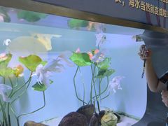 -重庆欢乐海底世界