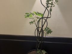-涟LIAN·泰式按摩·MASSAGE·SPA(深业上城店)
