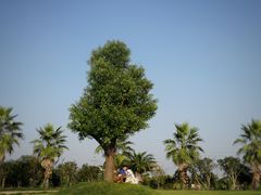 -桃园农庄·桃源宴