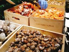 -OPEN開全日自助餐厅·西餐·海鲜(佛山希尔顿酒店)