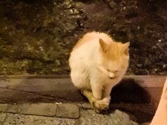 -北京水岸山吧度假村(雁栖镇店)