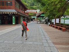 -野象谷景区
